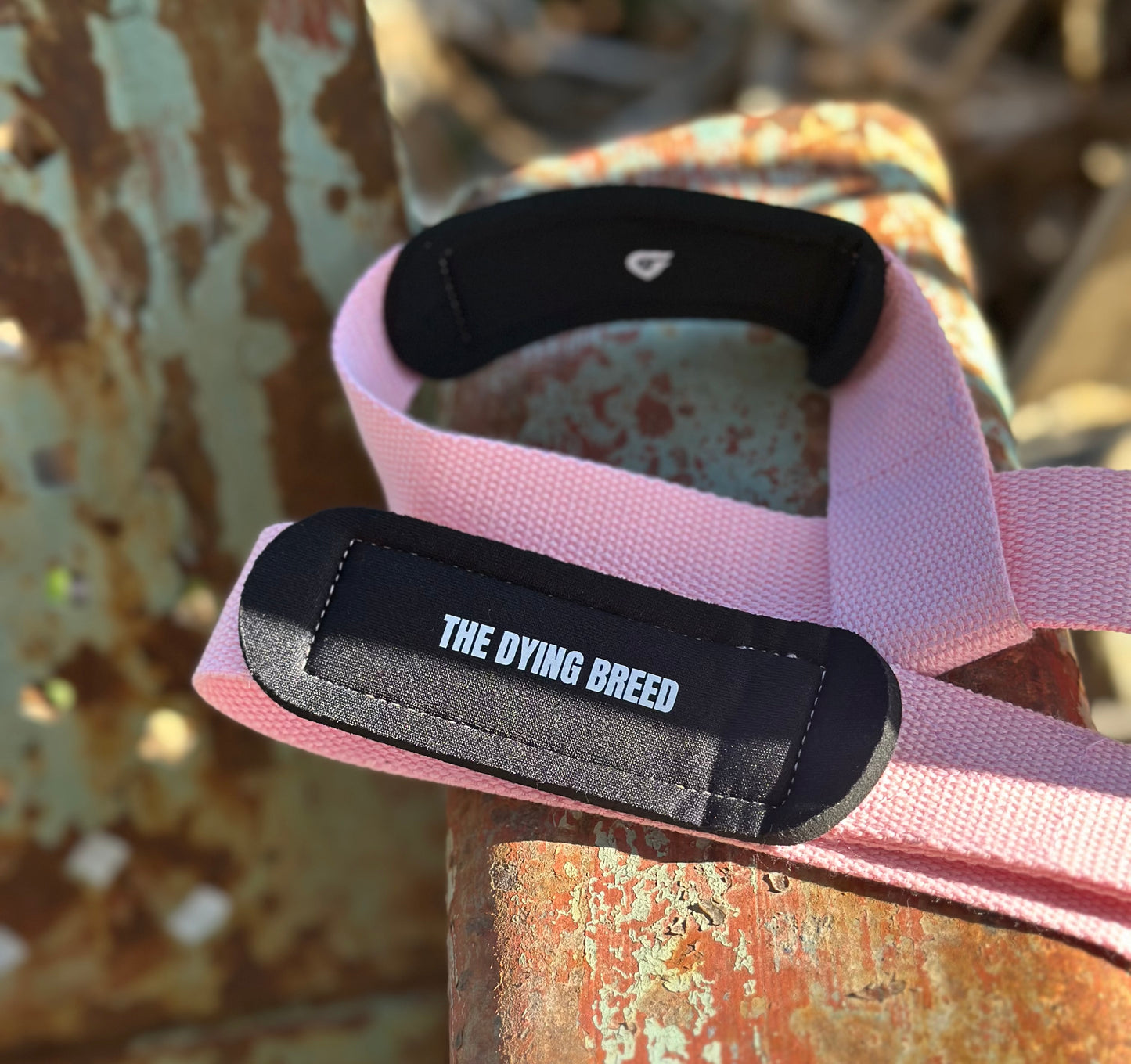 LIFTING STRAPS | BLACK & PINK