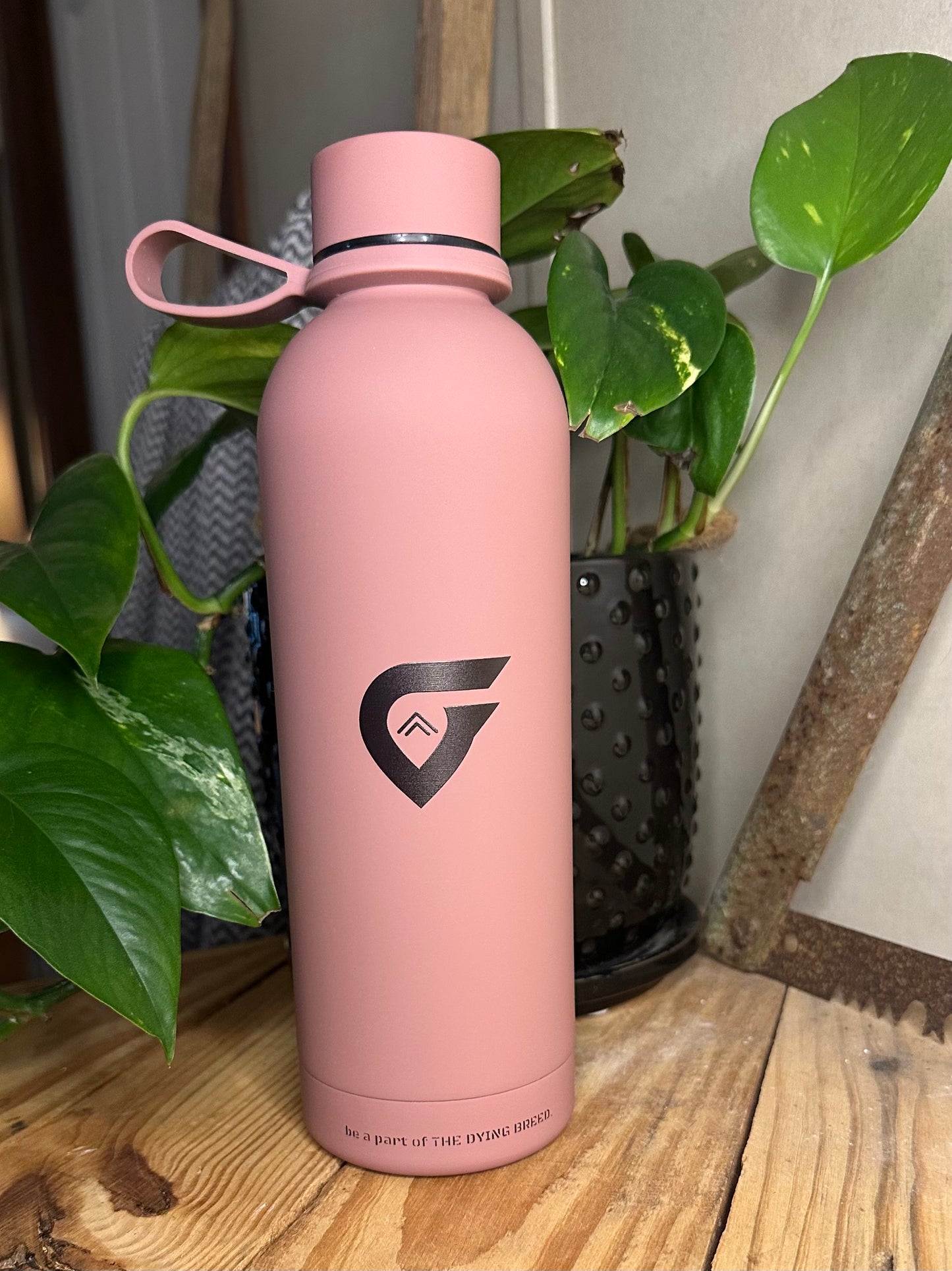 Metal Insulated Water Bottle | Matte